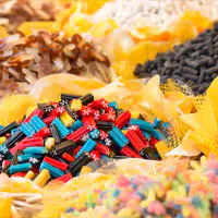 Plastic Chips for Sustainable Clothing USA